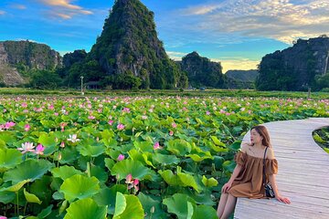 Full Day Tour Tam Coc Boat in Mua Cave and Hoa Lu Ancient Capital