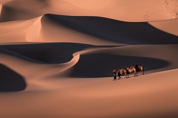 7 Days Gobi Desert Tour