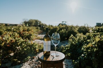 Ribera Del Duero And Rueda White & Red Wine Route 