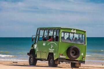 Doñana 4x4 and El Rocío Tour