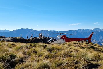 35-Minute Alpine Scenic Flight from Queenstown