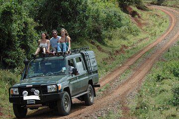 Aberdares National Park Luxury Lodge Safari 2 Days 1 Night Tour