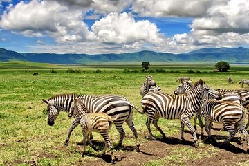 10 Days Kenya and Tanzania Classic Safari on 4x4 Jeep