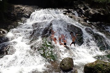 Half Day Ubud Waterfall Tour