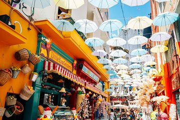 Athenian Highlights Street Art and Street Food