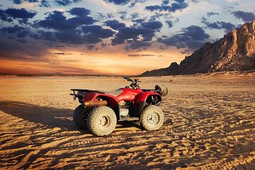 3 Hours Quad Bike with Camel Ride From Sharm El-Sheikh 