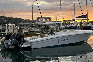 Private St Lucia Speed Boat Charter