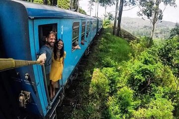 Ella Day Tour | Ella Train Trip from Bentota | Induruwa Hotels