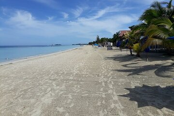 Negril 7 Miles Beach and Ricks Cafe Tour from Montego Bay 