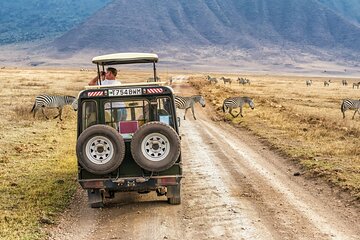 2 Day Safari To Tarangire & Lake Manyara from Zanzibar
