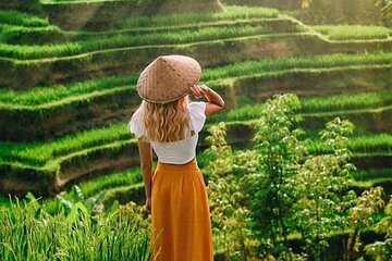 Best of Ubud: Monkey Forest, Waterfall, Rice Terrace Tour