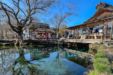 From Tokyo to Mount Fuji! Private Car Tour by Eng Speaking Driver