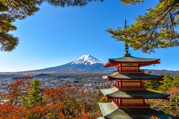 Private Customizable Tour in Mount Fuji