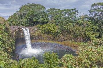 7 Hour Private Sightseeing Tour of Hilo 