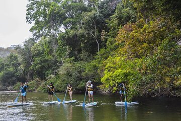 River Delta Paddle Adventure and relax at Los Cocos Beach.