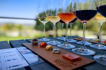 Full Day Stellenbosch and Franschhoek Tram Wine Tasting 