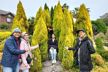 10Hours Private Guided taxi Driver tour in jeju island