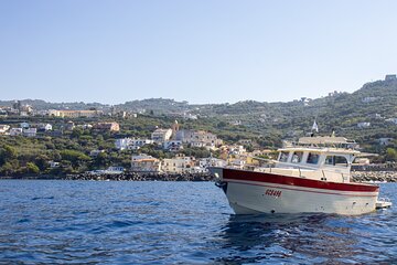 Group Boat Tour to Capri with Cave Visit and Bathing Stop