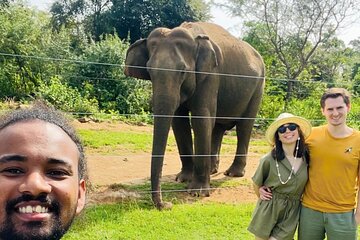Ella Day Trip with Train Ride Waterfalls and Tea Factory Tour