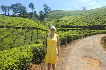 Cochin to Madurai the Backwater, Tea Estate & Temple Tour