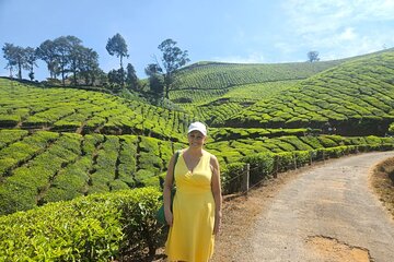 Cochin to Munnar Tranquil Trails