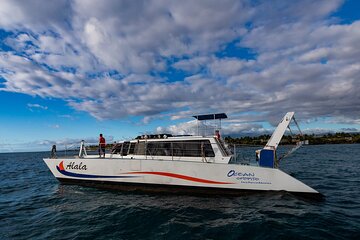  Early Morning Whale Cruise from Kawaihae Harbor