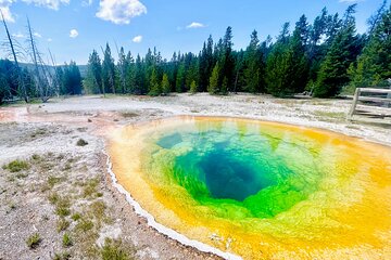 Yellowstone & Grand Teton: 5 Day Small Group Tour