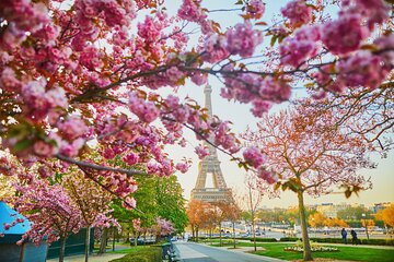 Half Day Private Tour of Paris with a Local