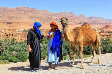 Fes Private Day Tour from Tangier with Transport