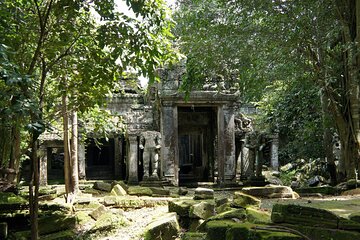 Preah Khan, Neak Pean and Pre-Rup Private Tour