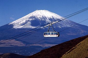 Mt. Fuji and Hakone Full Day Tour with English Speaking Driver