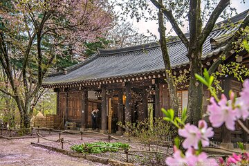 Nami Island, Garden of Morning Calm Tour with Rail Bike Option
