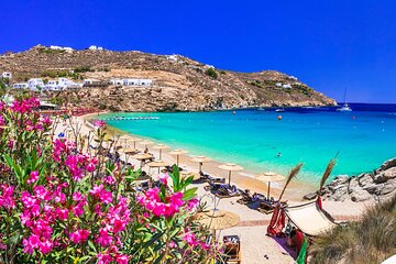 Majestic Mykonos Tour from Your Cruise Ship
