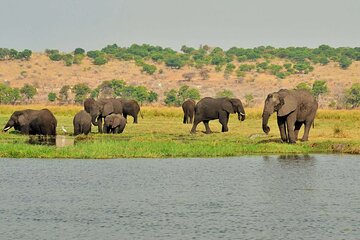 9 Days Expedition From Victoria Falls Chobe NP Maun 