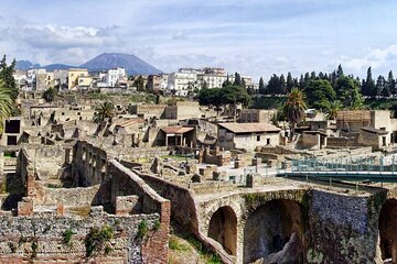 Naples: Herculaneum Entry Ticket with Digital Audio Tour