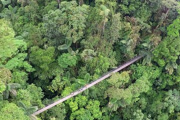 Arenal Hanging Bridges with Hotsprings, Lunch and Dinner