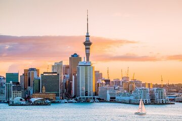 Private Custom Auckland Highlight Day Tour