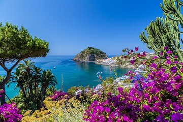 Exclusive Ischia Day Trip & Food Tasting with Top Guide and Driver from Naples 