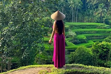 Ubud Guided Tour Monkey Forest, Waterfall, Temple & Rice Terrace.