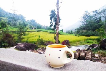  Sunrise in Darjeeling