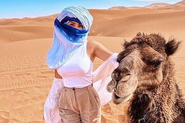 Explore Merzouga with our unforgettable Camel Expeditions