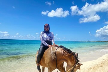 Bob Marley Museum, Dunn's River Falls and Horseback Riding 