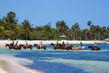 Private Horse Back Riding And Dunns' River Falls From Montego bay