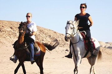 Hurghada: Arabian Desert and Sea Horseback Adventure