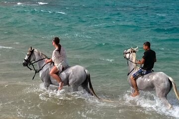 Hurghada: Arabian Desert and Sea Horseback Adventure