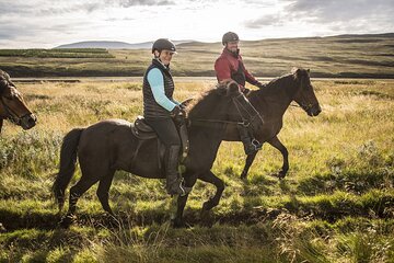 The Viking Horse Riding Experience in North Iceland