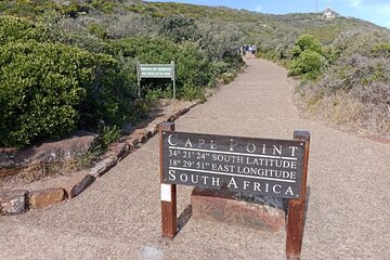 Private Excursion Cape of Good Hope and Penguins Tour