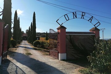 Guided Cellar Tour and wine tasting