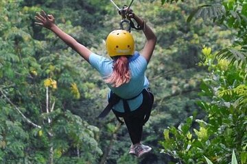 ZipLine and Rappel