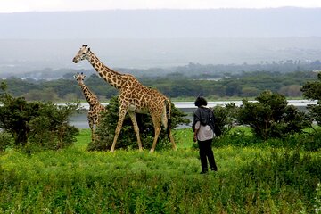 Lake Naivasha Boat ride and Crescent island walk from Nairobi